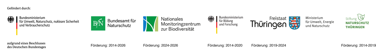 Flora Incognita | DE – Die Flora Incognita App – Interaktive Pflanzenbestimmung