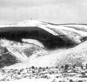 Kahlflächen in den Hochlagen des Thüringer Waldes nach Räumung des Schadholzes (1949). Aus: Schreiber et al. (1996)