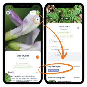 Projekt-Tag vergeben