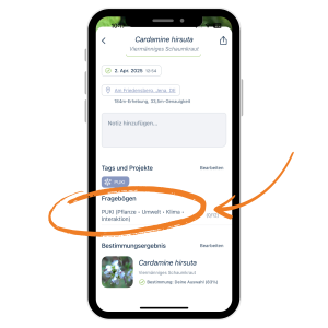Fragebogen ausfüllen