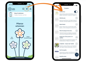 An Projekt teilnehmen