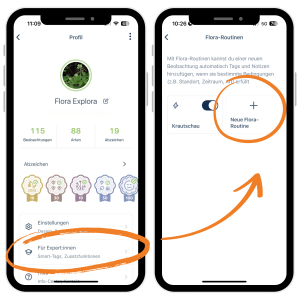 routinen_transparent