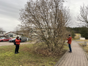 Systematische-Aufnahme